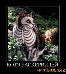  (442x500, 49 k�...)