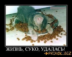  (500x398, 42 k�...)