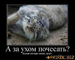  (500x400, 46 k�...)