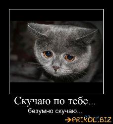  (455x500, 37 k�...)