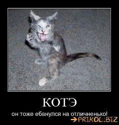  (477x500, 50 k�...)