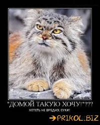  (383x479, 41 k�...)