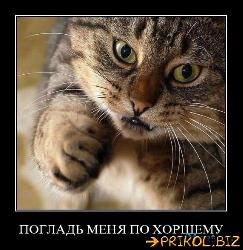  (485x500, 59 k�...)