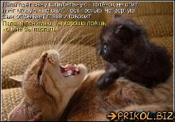  (500x350, 53 k�...)