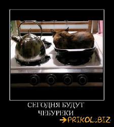  (424x471, 30 k�...)