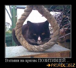  (500x445, 52 k�...)