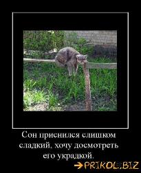  (409x500, 42 k�...)