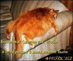  (500x414, 57 k�...)