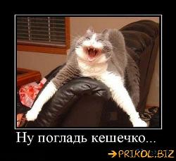  (500x456, 40 k�...)