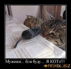  (500x485, 51 k�...)