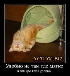  (439x480, 35 k�...)