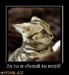  (560x606, 51 k�...)