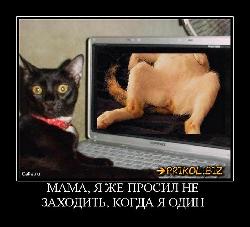  (710x642, 71 k�...)