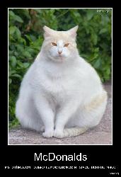  (536x784, 147 k�...)