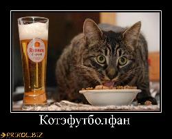  (760x613, 67 k�...)