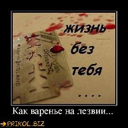  (544x544, 50 k�...)