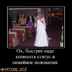  (510x513, 39 k�...)