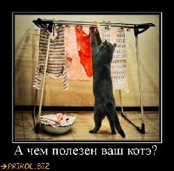  (665x650, 80 k�...)