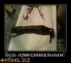  (450x398, 31 k�...)