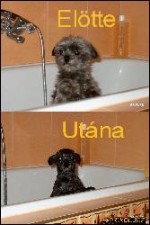  (683x1024, 166 k...)