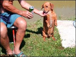  (1024x768, 312 k...)